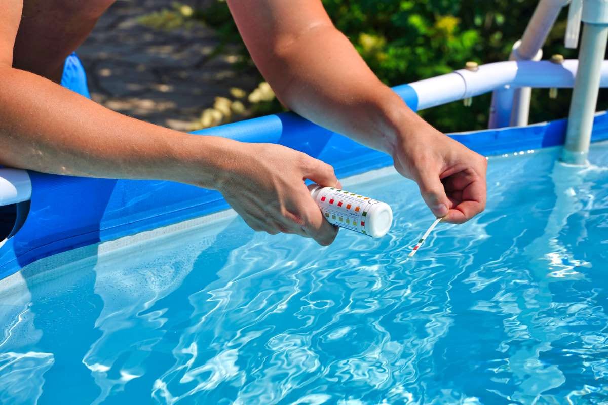 Checking pool water quality with a test strip for pH, chlorine, and algaecide