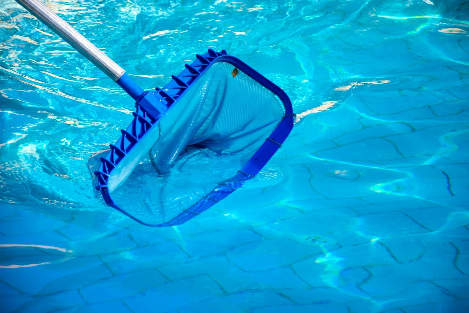 Pool cleaning service removing debris with a net