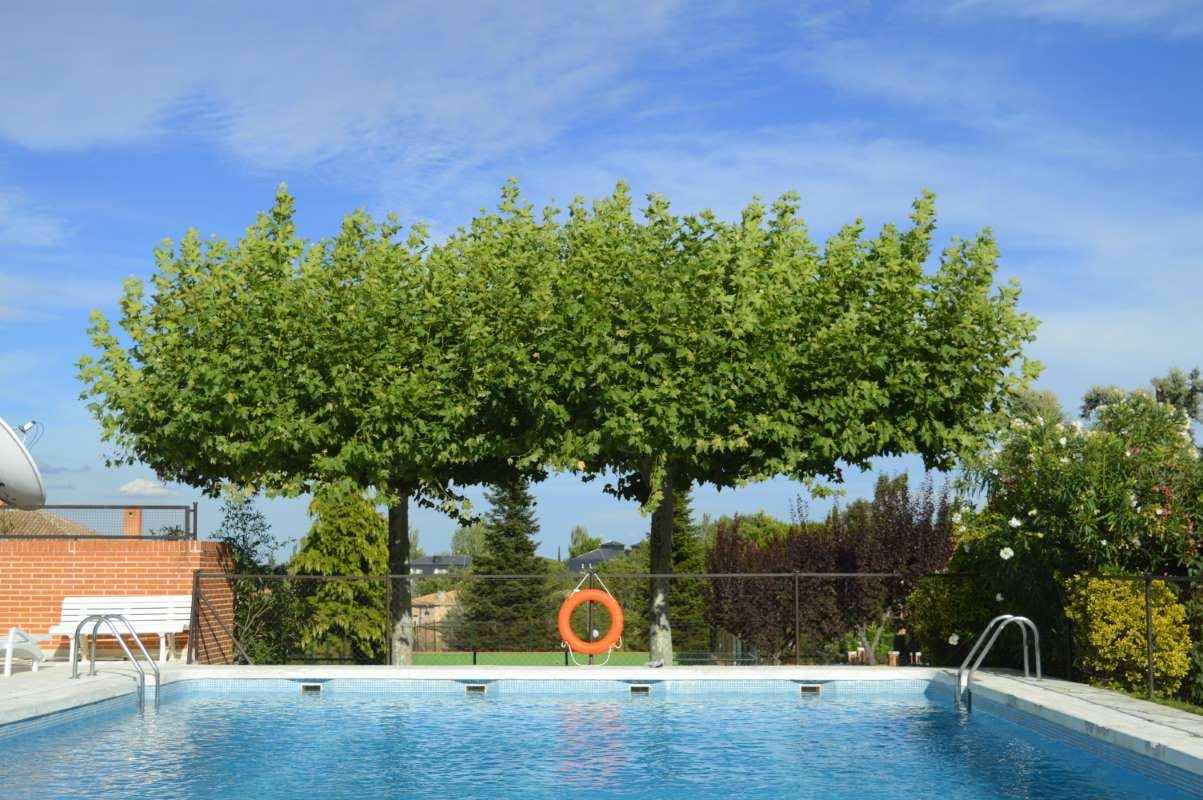 Scenic swimming pool against a clear sky for retention metrics business growth article