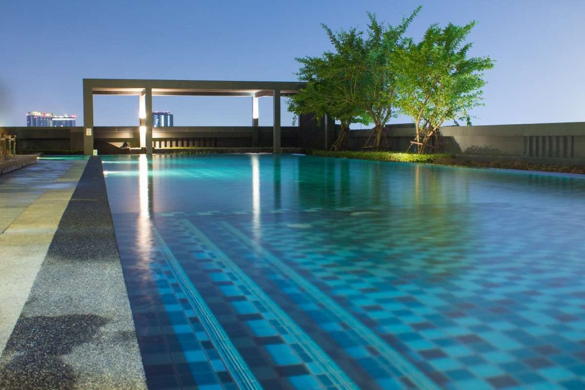 Swimming pool by trees under a blue sky