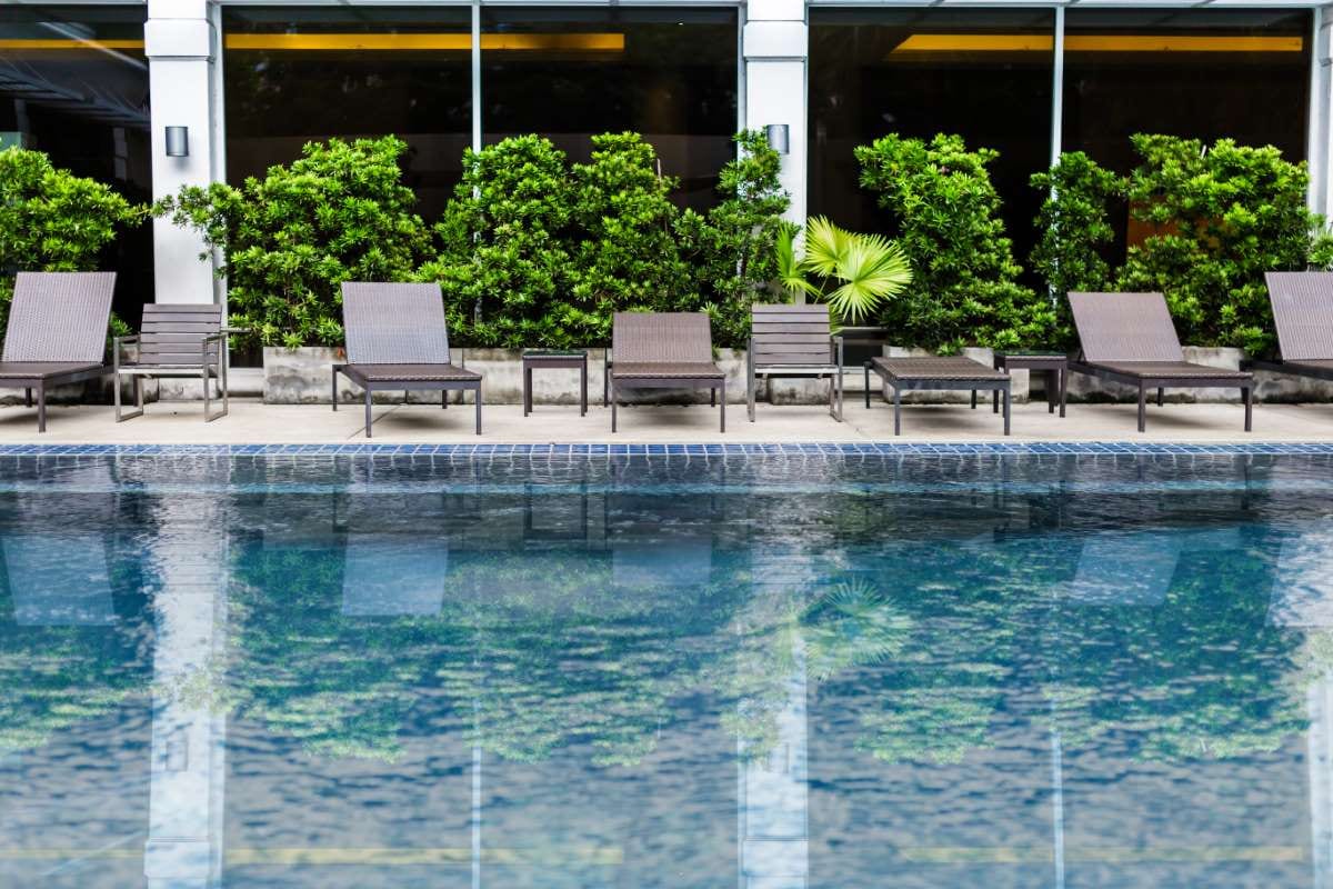Swimming pool with stair tree beside it