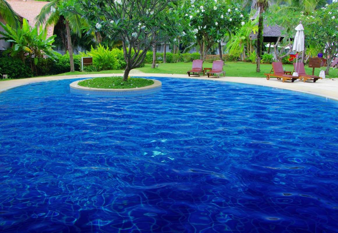 Tropical swimming pool under palm trees for strategic outcomes theme